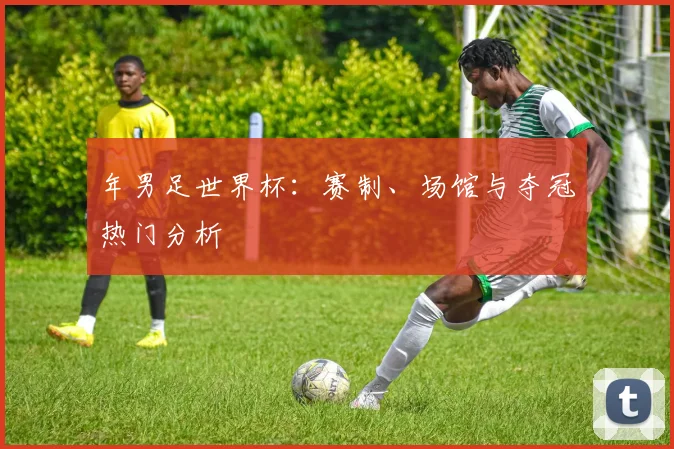 年男足世界杯：赛制、场馆与夺冠热门分析