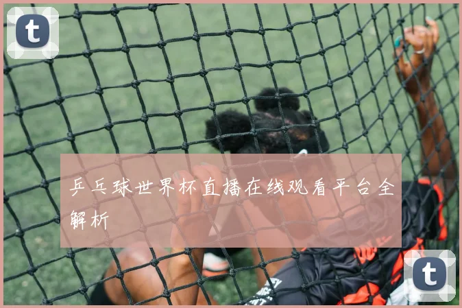 乒乓球世界杯直播在线观看平台全解析